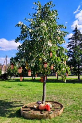 Rózsa-Vát Egyesület játszótéri fa őszi dekoráció