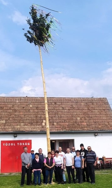 Majális kulturális rendezvény májusfa