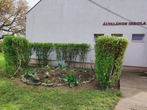Rózsa-Vát Egyesület iskolaudvar sziklakert projekt utána